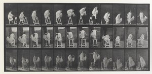 Locomoción animal Placa de Eadweard Muybridge